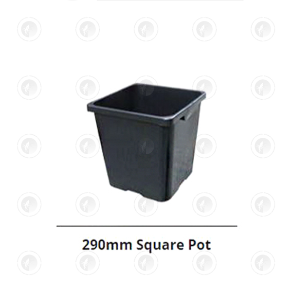 Square Bucket Pots - With or Without Holes | Diameter 290MM