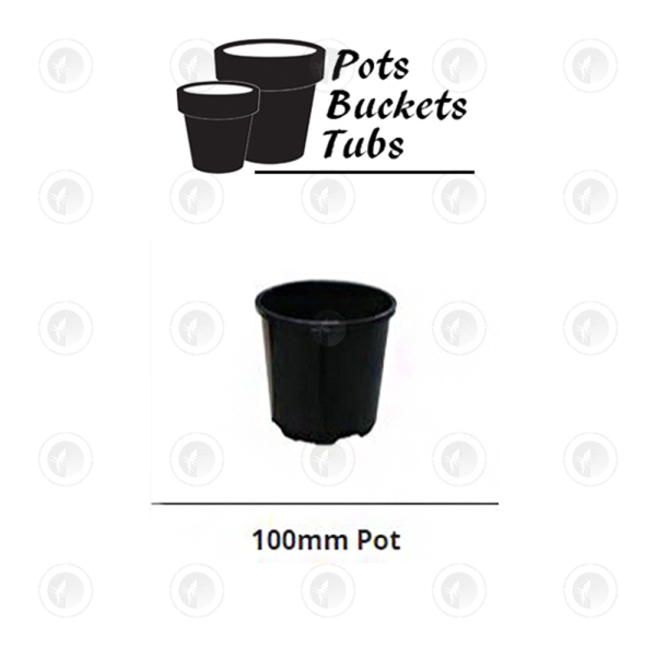 Plastic Pots -  Various Sizes | Standard Drain Holes | GCP