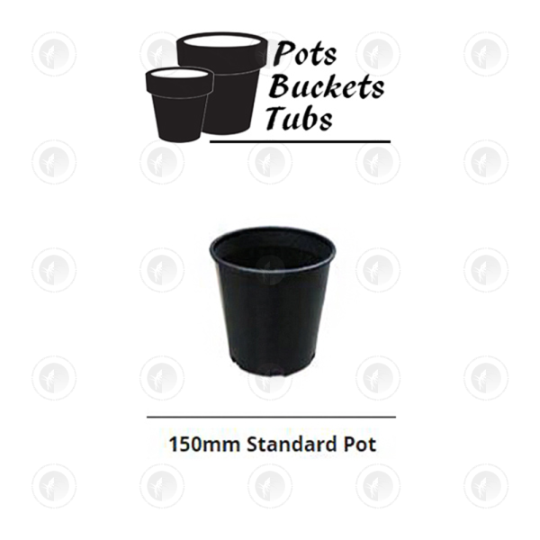 Plastic Pots -  Various Sizes | Standard Drain Holes | GCP