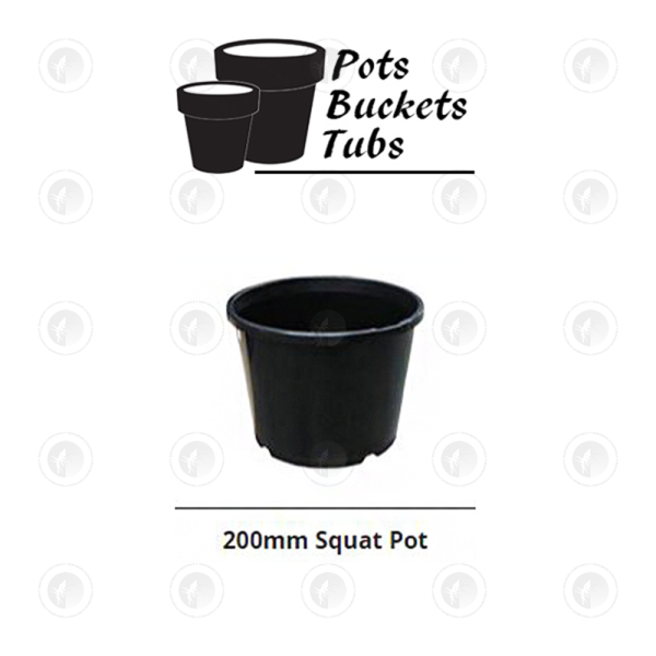 Plastic Pots -  Various Sizes | Standard Drain Holes | GCP