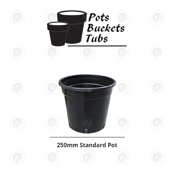 Plastic Pots -  Various Sizes | Standard Drain Holes | GCP