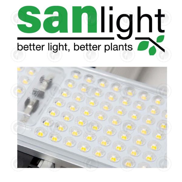 SanLight Evo 5-150 LED Grow Light - 320W | 870µmol/s