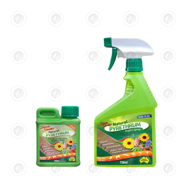 Sharp Shooter Natural Pyrethrum - 750ML Spray / 250ML Concentrate | Prevents Aphids. Thrips, Whitefly