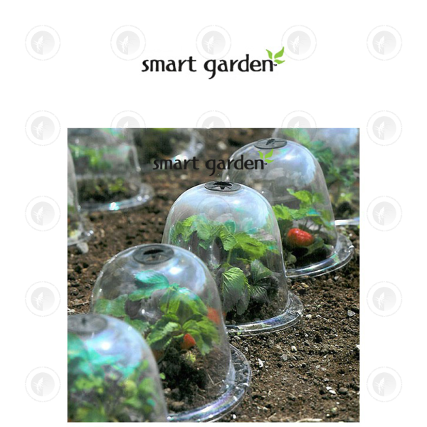 Smart Garden - Propagation Bell | Various Sizes | Create Humidity