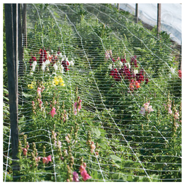 Nylon Garden Trellis Netting - Net Mesh | Plant Training