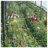 Nylon Garden Trellis Netting - Net Mesh | Plant Training