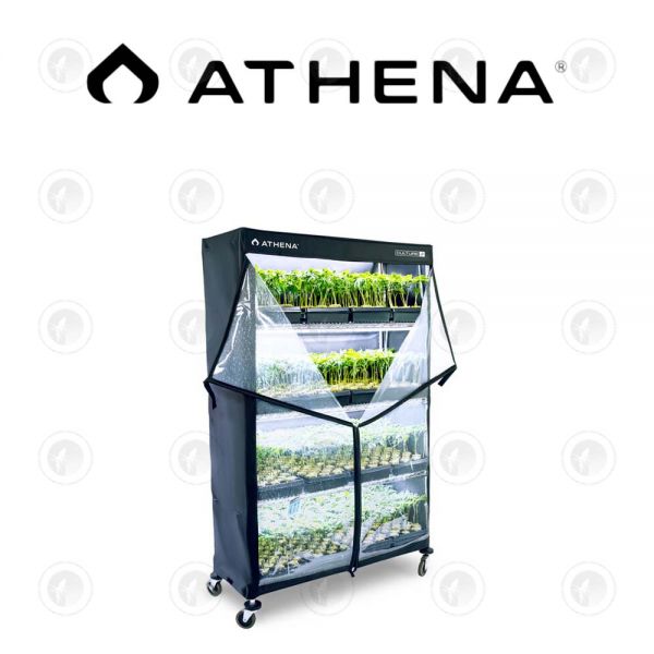 Athena - VPDome | Anti-Microbial Cloning Rack – Benchmark Hydroponics