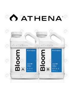 Athena Blended - Bloom A + B | 2 Part Nutrients