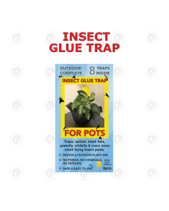 Insect Glue Trap  8 Pack - 6CM x 8CM | Double Sided | On Sticks For Pots