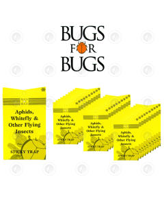 Bugs For Bugs Sticky Trap - 240CM2 | Last 6 - 12 Weeks