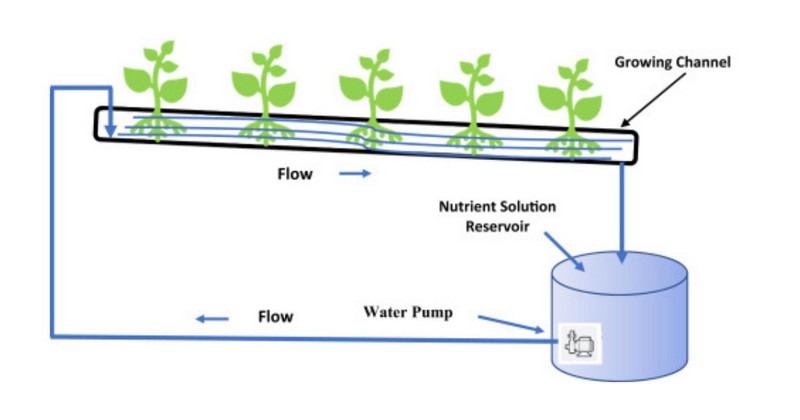 NFT in hydroponic growing (Image Source: ScienDirect)