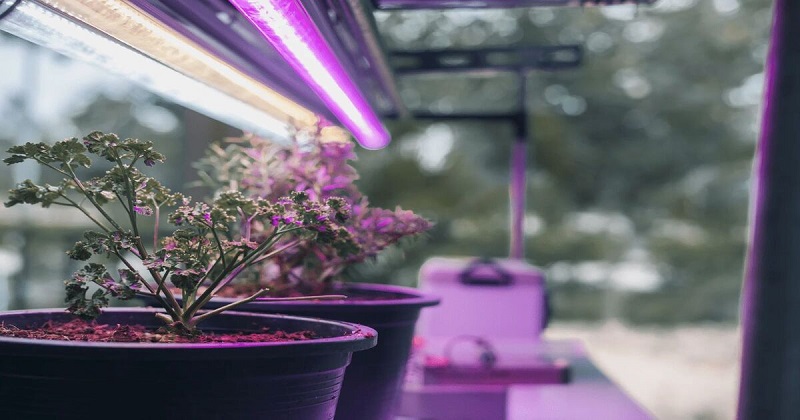 best led lights for hydroponics