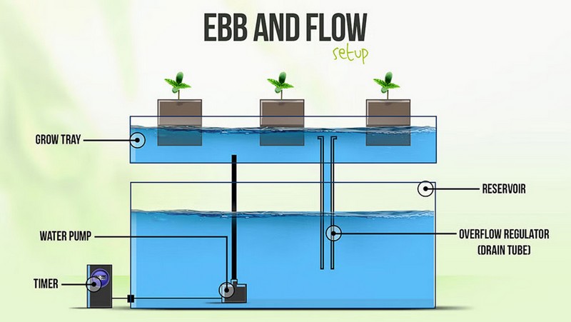 Ebb And Flow System Works