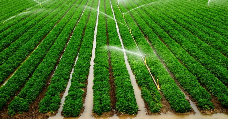 drip irrigation system