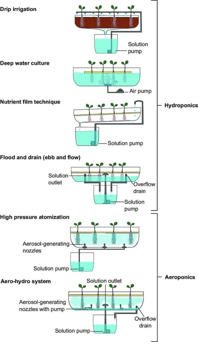 drip irrigation