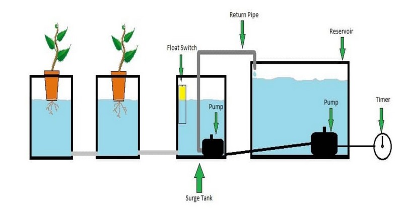 The Surge Tank Ebb & Flow