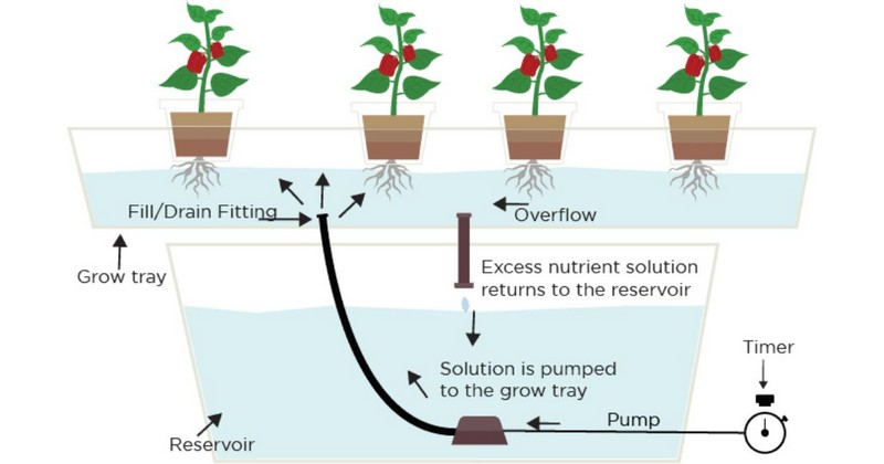how to build a flood and drain hydroponic system