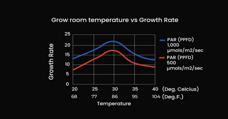 Grow Room Temperature In Grow Tent