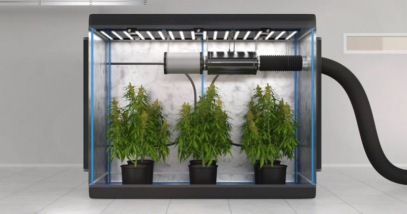 Ventilate Your Grow Tent