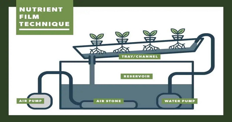 nft system